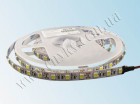 LED лента 5050/60 негерметичная (IP33) premium